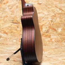 Taylor 312ce-N_5