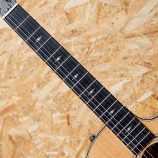 Taylor 312ce-N_6