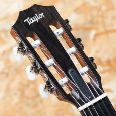 Taylor 312ce-N_8
