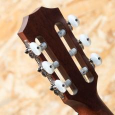 Taylor 312ce-N_9