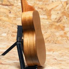Koaloha Opio KTO-G6 Tenor 6 Strings_5