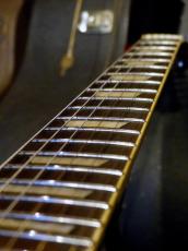 Bills Brothers ’80s BFB-60 Firebird_10