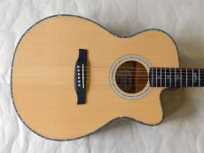 Paul Reed Smith [PRS] SE A55E