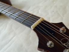 Paul Reed Smith [PRS] SE A55E_4