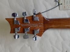 Paul Reed Smith [PRS] SE A55E_10