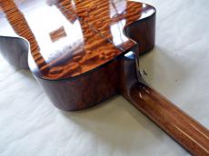 Paul Reed Smith [PRS] SE A55E_11