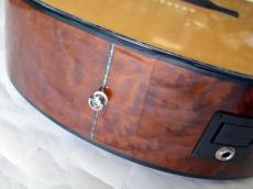 Paul Reed Smith [PRS] SE A55E_12