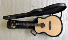 Paul Reed Smith [PRS] SE A55E_14
