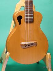TACOMA Papoose P1 PU装備 (M-FACTORY Under-saddle piezo PU)
