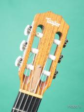 Taylor 312-NYLON PU標準装備(Expression System Nylon) [Price Down!]_3
