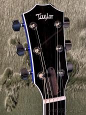 Taylor 【決算セール～8/31まで‼】【Hand Selected】Custom Select Next Generation CTM614ce #C0897_4