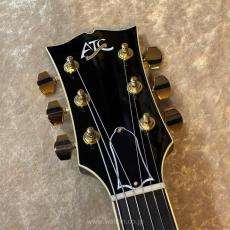 Archtop Tribute ATC350BK (2024 model)_5