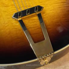 Archtop Tribute ATC350BK (2024 model)_9