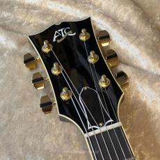 Archtop Tribute ATC350BK (2024 model)_6