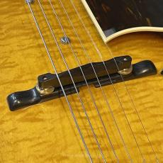 Archtop Tribute ATC350BK (2024 model)_8
