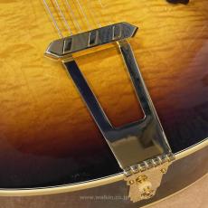 Archtop Tribute ATC350BK (2024 model)_9