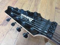 Ibanez RG2228GK_2
