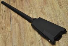 Steinberger Spirit XT-2_2