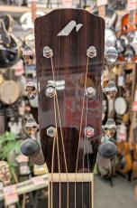 Morris FE-101 【モリダイラ楽器 特選モデル】_5