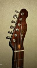 Fender Japan ALL ROSE TELECASTER_3