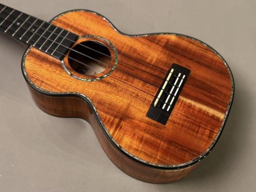 Kamaka HF-2D2I Concert DELUXE 'Ipuka【USED/2019年/SN192191】