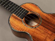 Kamaka HF-2D2I Concert DELUXE 'Ipuka【USED/2019年/SN192191】_8