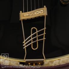 Ibanez PM100 Pat Metheny Signature (Black)_12