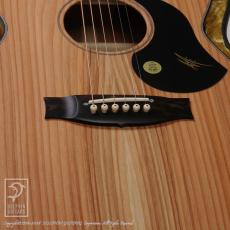 Maton RM808_11