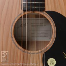 Maton RM808_12