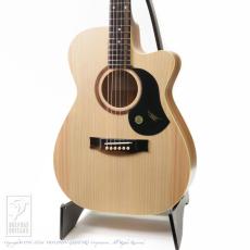 Maton Performer