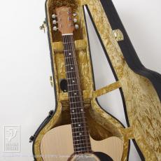 Maton Performer_8