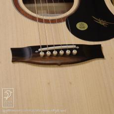 Maton Performer_11