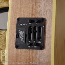 Maton Performer_12