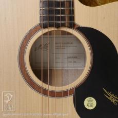 Maton Performer_13