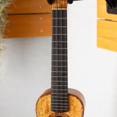 W.F.G.C. Concert-MA-J-SP_5