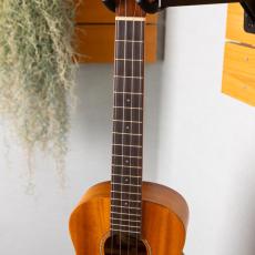 aNueNue aNN-T30_5