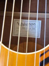 Waterloo WL-14 X TR 2014〜2016年製_4
