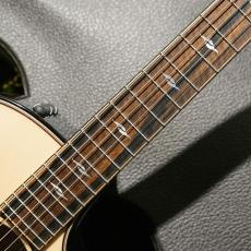 Taylor 【1本限定長期店頭品のため大特価!】【試奏動画あり】Builder's Edition 814ce #1209083092【パワフルなサウンド・快適な演奏性が魅力】【送料当社負担】【池袋店在庫品】 _5