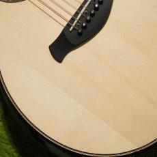 Taylor 【1本限定長期店頭品のため大特価!】【試奏動画あり】Builder's Edition 814ce #1209083092【パワフルなサウンド・快適な演奏性が魅力】【送料当社負担】【池袋店在庫品】 _16