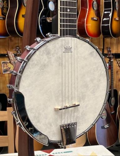 Washburn B6 Guitar Banjo