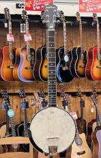 Washburn B6 Guitar Banjo_2