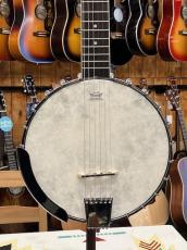 Washburn B6 Guitar Banjo_3