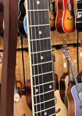 Washburn B6 Guitar Banjo_4