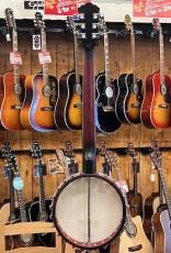 Washburn B6 Guitar Banjo_6