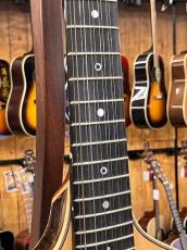 Sakae Ishii  Portuguese guitar_4