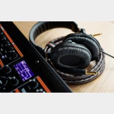 Roland RH-200 スタジオ・クラスモニターヘッドフォン 【密閉型ヘッドフォン】_4