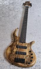 elrick e-volution 5 Bolt-on 35inch Curly Black Line Spalted Maple Top【3.44kg】【決算セール 目玉品】_10