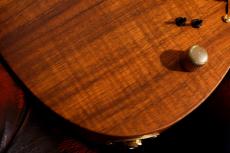 T's DST-Hollow24 Curly Koa Top~ Amber Natural Matt ~ #033426_6