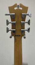 D'Angelico Premier Brandon Niederauer Atlantic / Sonic Blue_8