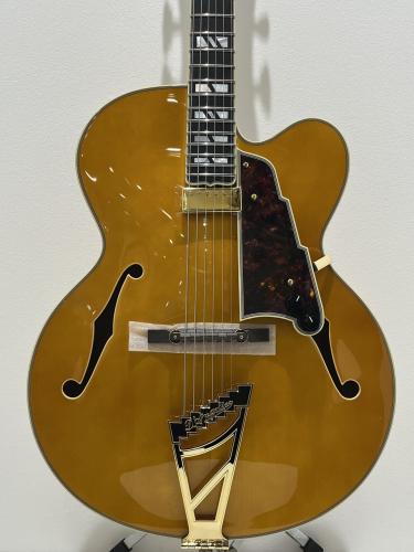 D'Angelico Excel EXL-1 / Amber